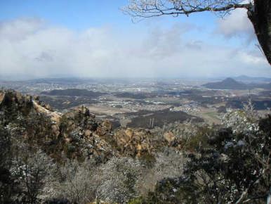 �V���㕔�̓W�]